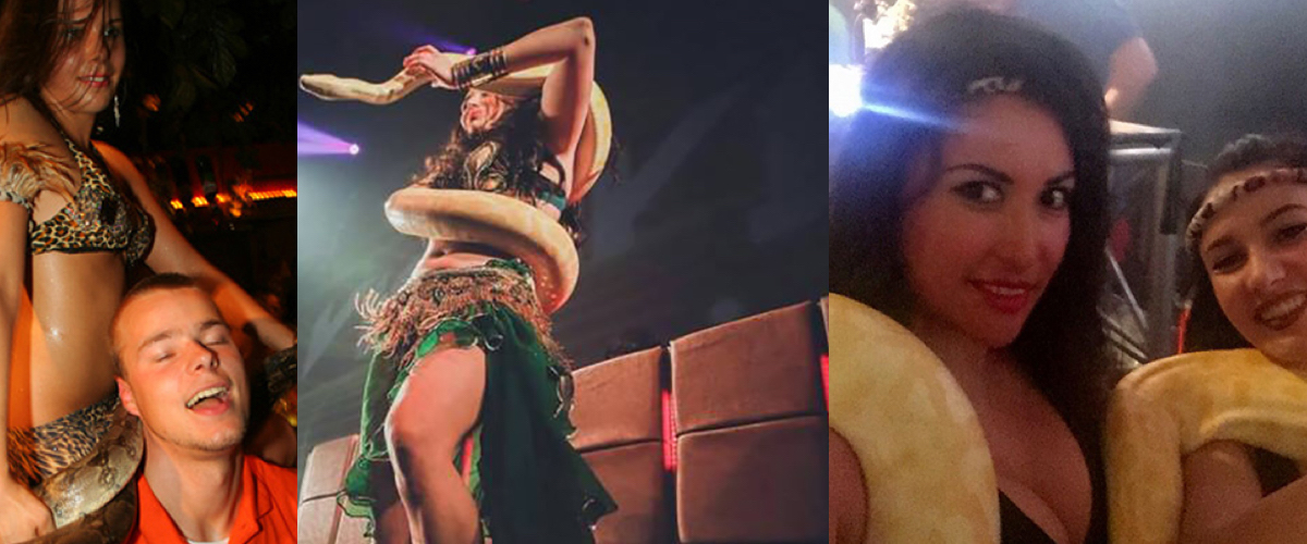 Calypso limbo danser